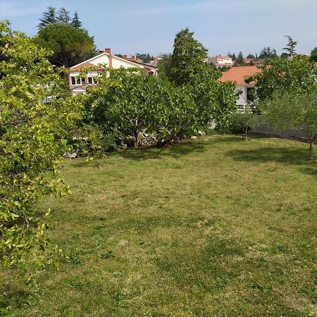 קרק Apartman Avsec מראה חיצוני תמונה