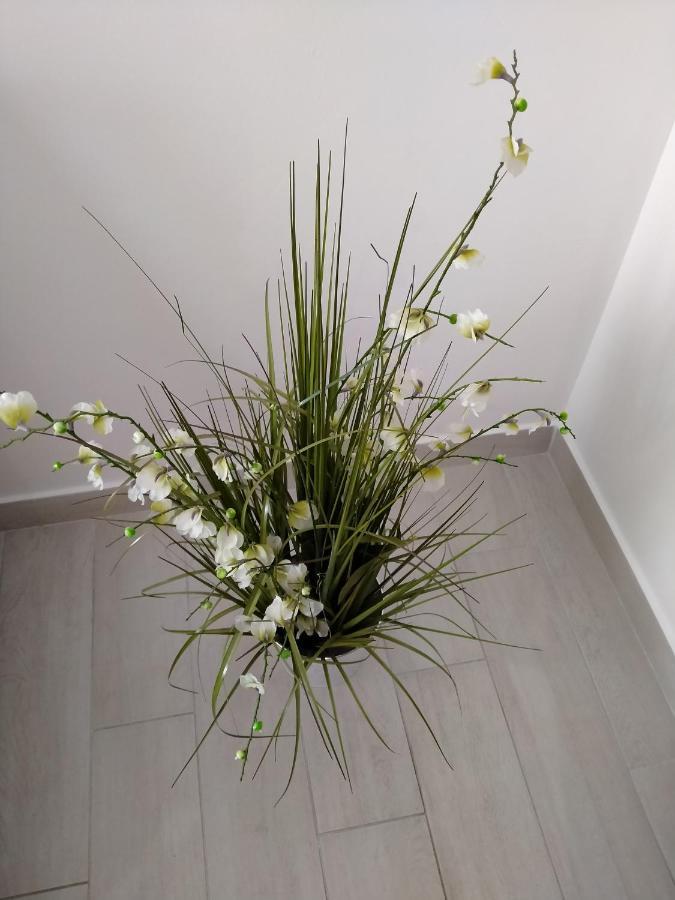 קרק Apartman Avsec מראה חיצוני תמונה